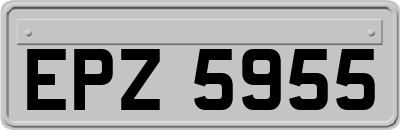 EPZ5955