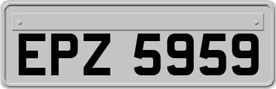 EPZ5959