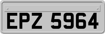 EPZ5964