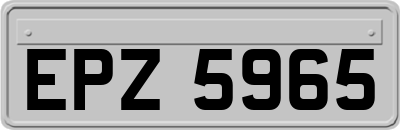 EPZ5965