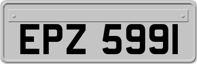 EPZ5991