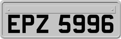 EPZ5996