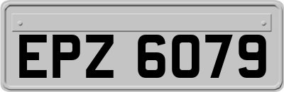 EPZ6079