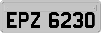 EPZ6230