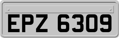 EPZ6309