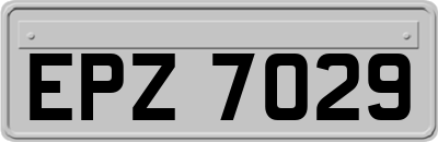 EPZ7029