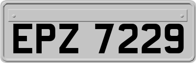 EPZ7229