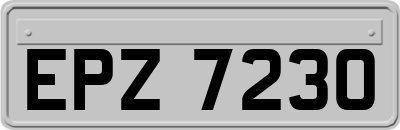 EPZ7230