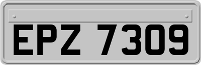 EPZ7309