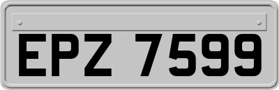 EPZ7599