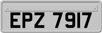 EPZ7917