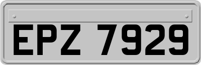 EPZ7929