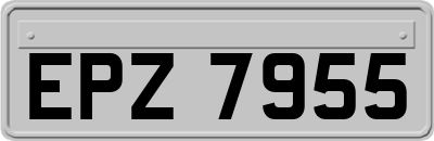 EPZ7955