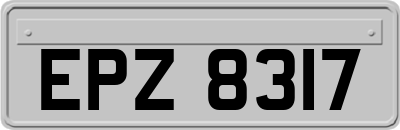 EPZ8317