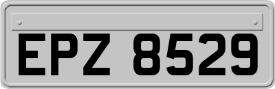 EPZ8529