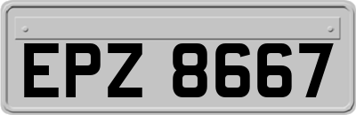 EPZ8667