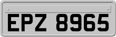 EPZ8965