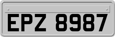 EPZ8987