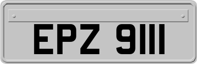 EPZ9111