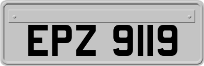 EPZ9119
