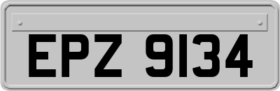 EPZ9134