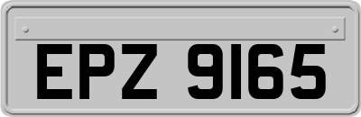 EPZ9165