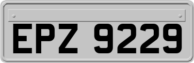 EPZ9229