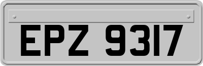 EPZ9317