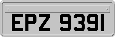EPZ9391