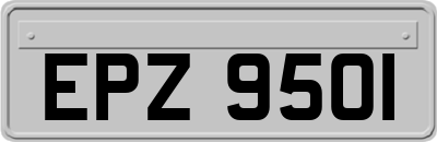 EPZ9501