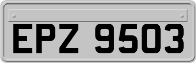 EPZ9503