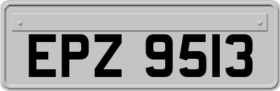 EPZ9513
