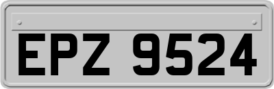 EPZ9524