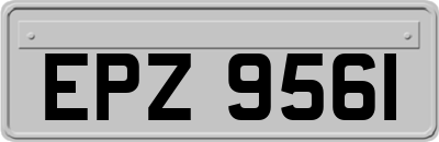 EPZ9561