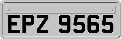 EPZ9565