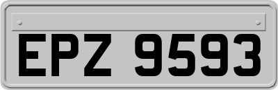 EPZ9593