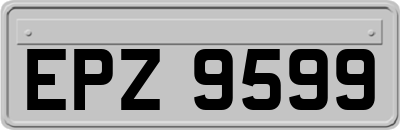 EPZ9599