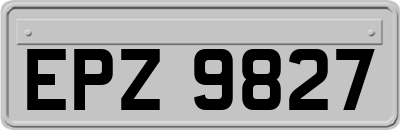 EPZ9827