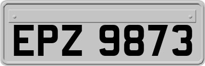 EPZ9873