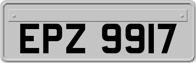 EPZ9917