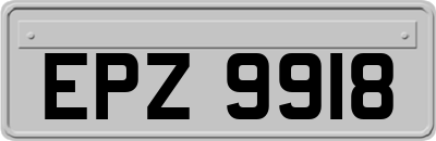 EPZ9918