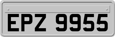 EPZ9955