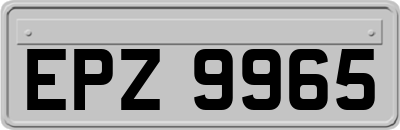 EPZ9965