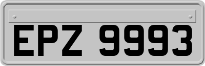 EPZ9993