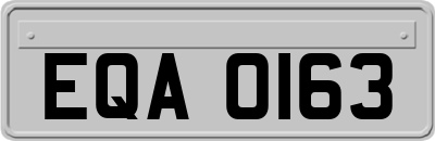 EQA0163