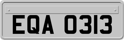 EQA0313
