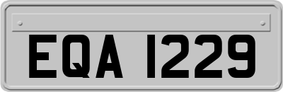 EQA1229