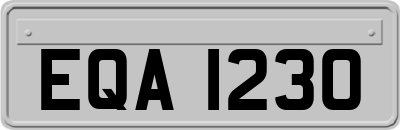 EQA1230