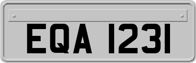 EQA1231