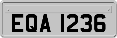 EQA1236